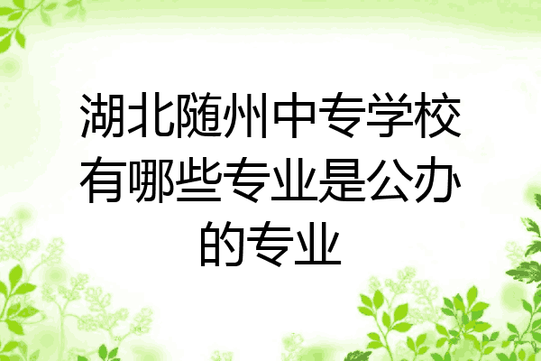 湖北随州中专学校有哪些专业是公办的专业