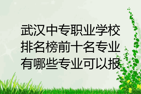武汉中专职业学校排名榜前十名专业有哪些专业可以报