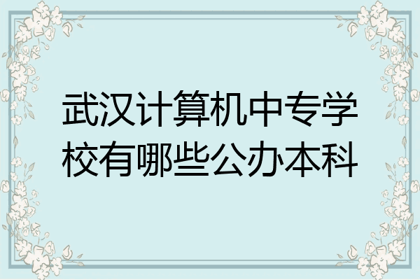 武汉计算机中专学校有哪些公办本科