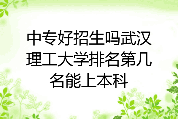 中专好招生吗武汉理工大学排名第几名能上本科