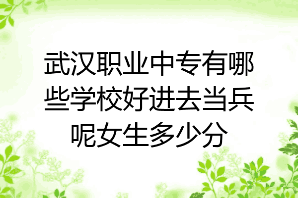武汉职业中专有哪些学校好进去当兵呢女生多少分