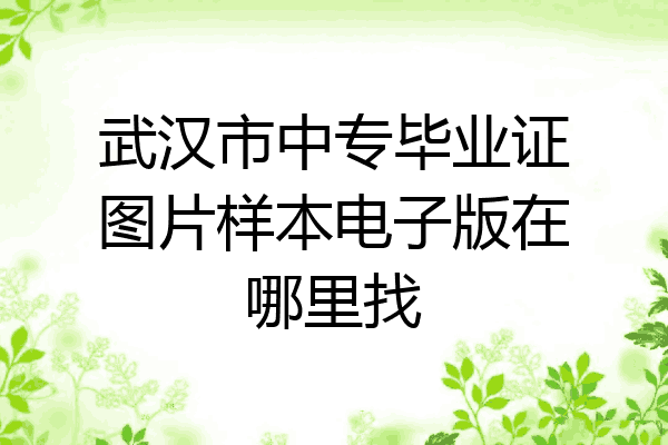 武汉市中专毕业证图片样本电子版在哪里找