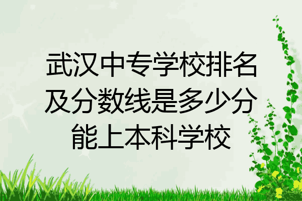 武汉中专学校排名及分数线是多少分能上本科学校