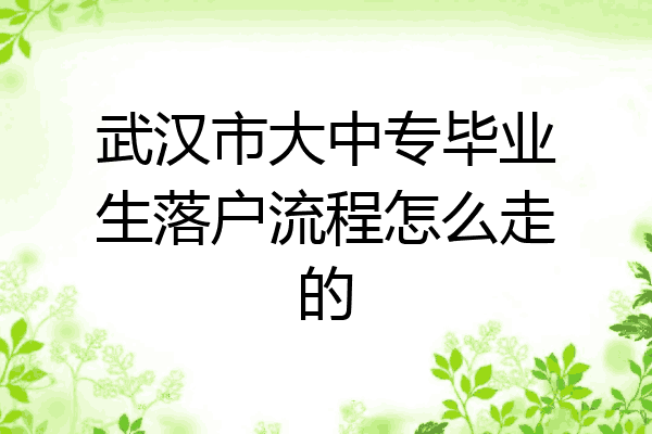 武汉市大中专毕业生落户流程怎么走的