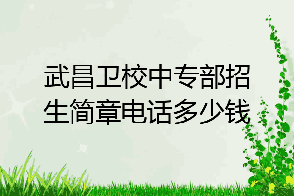 武昌卫校中专部招生简章电话多少钱