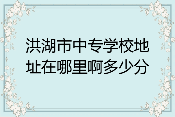 洪湖市中专学校地址在哪里啊多少分