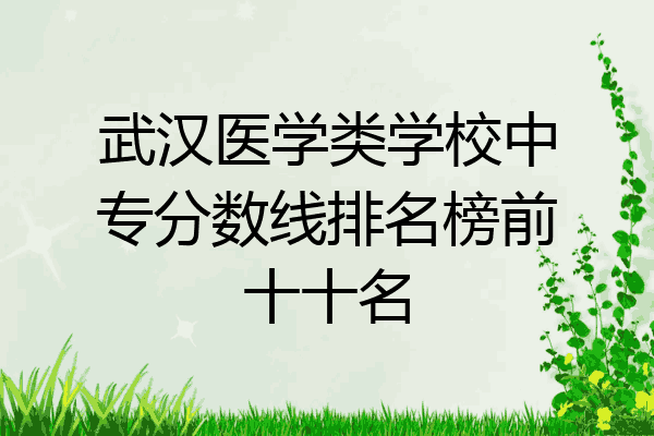 武汉医学类学校中专分数线排名榜前十十名