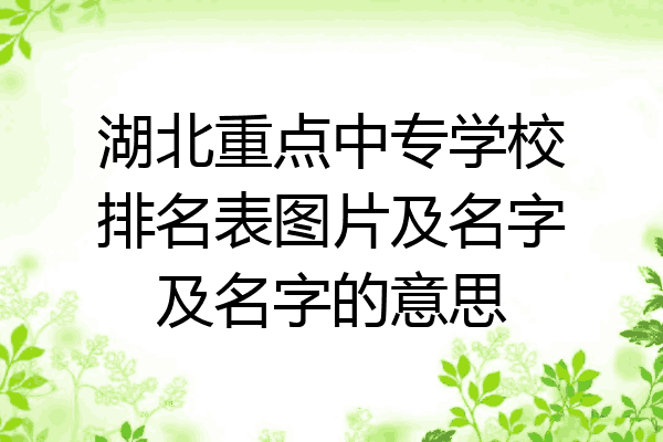 湖北重点中专学校排名表图片及名字及名字的意思