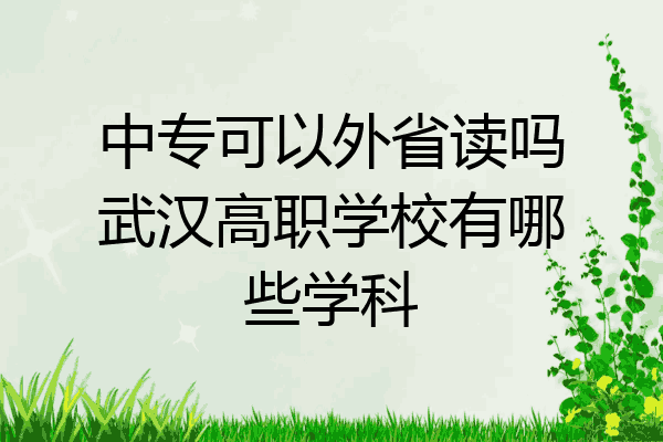 中专可以外省读吗武汉高职学校有哪些学科
