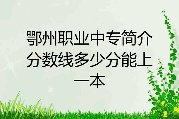 鄂州职业中专简介分数线多少分能上一本