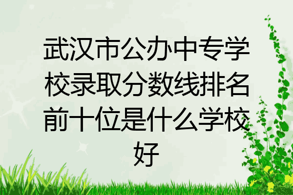 武汉市公办中专学校录取分数线排名前十位是什么学校好