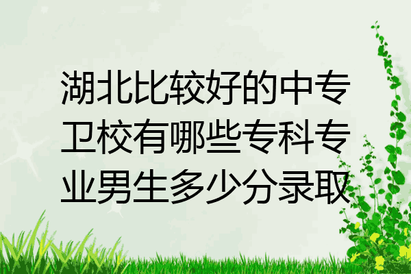 湖北比较好的中专卫校有哪些专科专业男生多少分录取