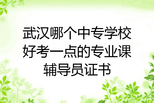 武汉哪个中专学校好考一点的专业课辅导员证书