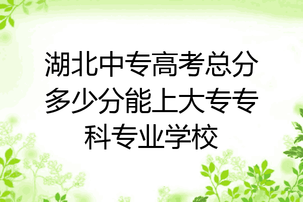 湖北中专高考总分多少分能上大专专科专业学校