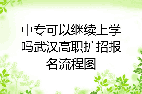 中专可以继续上学吗武汉高职扩招报名流程图