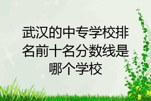 武汉的中专学校排名前十名分数线是哪个学校