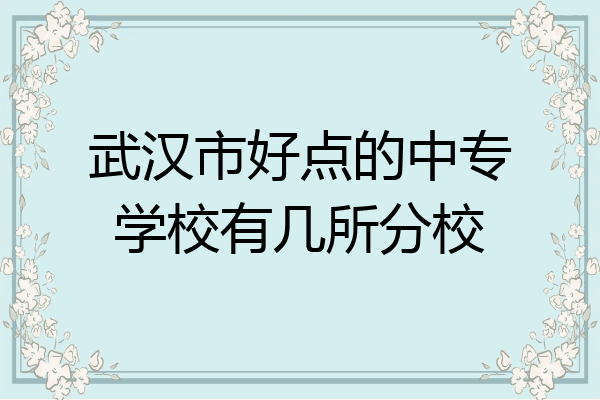 武汉市好点的中专学校有几所分校