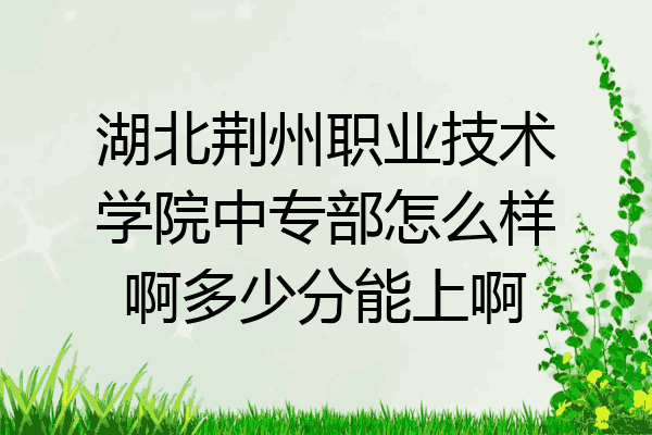 湖北荆州职业技术学院中专部怎么样啊多少分能上啊