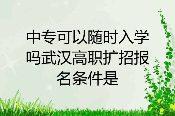 中专可以随时入学吗武汉高职扩招报名条件是