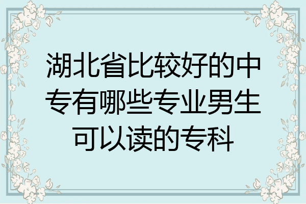 湖北省比较好的中专有哪些专业男生可以读的专科