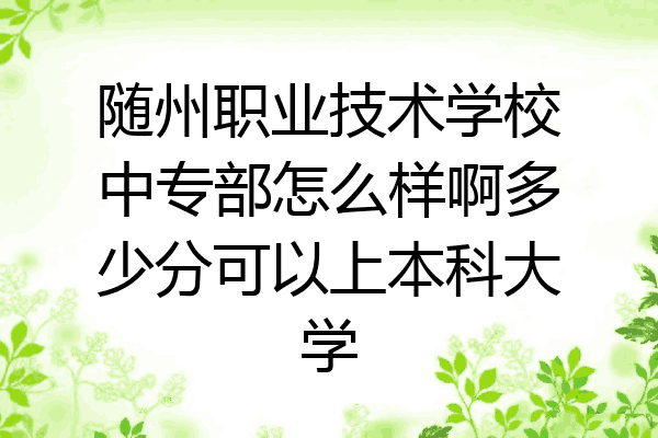 随州职业技术学校中专部怎么样啊多少分可以上本科大学