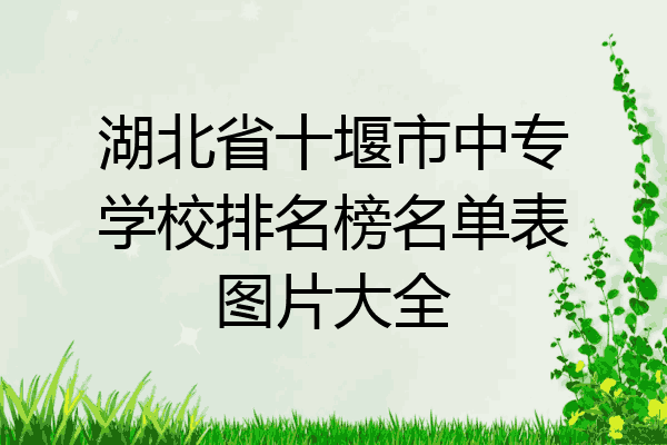 湖北省十堰市中专学校排名榜名单表图片大全