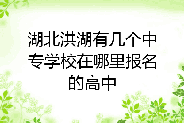 湖北洪湖有几个中专学校在哪里报名的高中