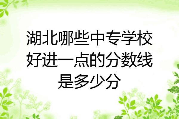 湖北哪些中专学校好进一点的分数线是多少分
