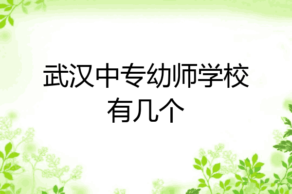 武汉中专幼师学校有几个