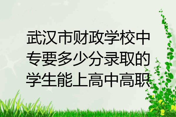 武汉市财政学校中专要多少分录取的学生能上高中高职