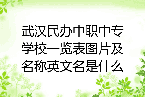 武汉民办中职中专学校一览表图片及名称英文名是什么