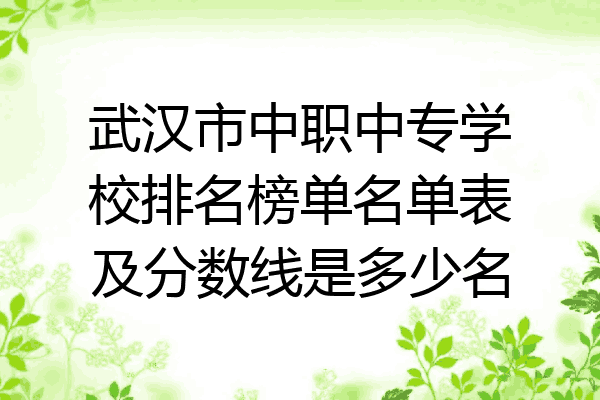 武汉市中职中专学校排名榜单名单表及分数线是多少名
