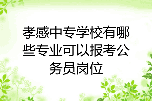 孝感中专学校有哪些专业可以报考公务员岗位