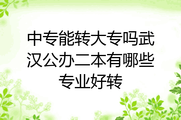 中专能转大专吗武汉公办二本有哪些专业好转