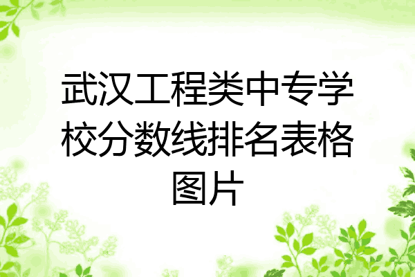 武汉工程类中专学校分数线排名表格图片