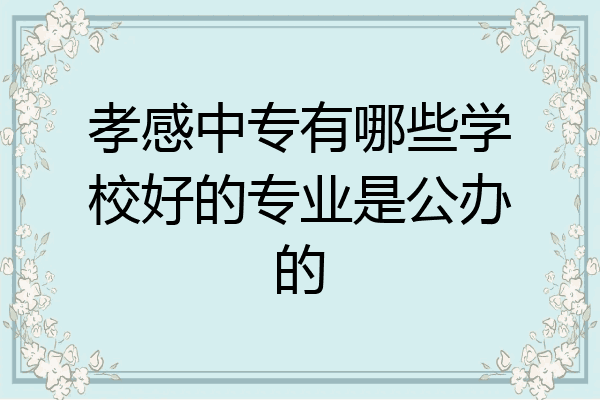 孝感中专有哪些学校好的专业是公办的