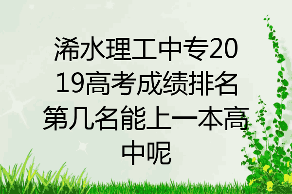 浠水理工中专2019高考成绩排名第几名能上一本高中呢