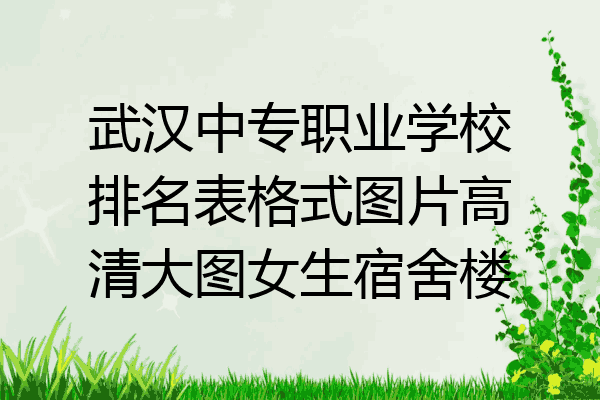 武汉中专职业学校排名表格式图片高清大图女生宿舍楼