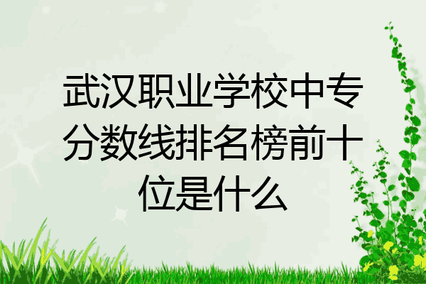 武汉职业学校中专分数线排名榜前十位是什么