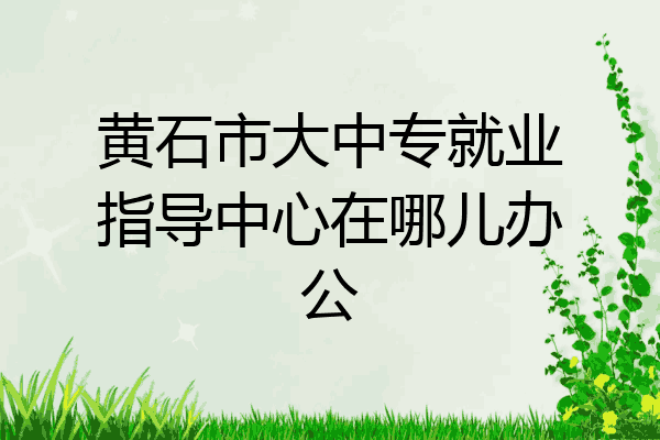 黄石市大中专就业指导中心在哪儿办公