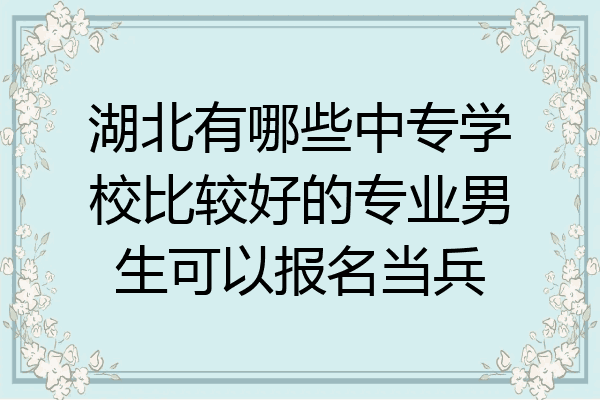 湖北有哪些中专学校比较好的专业男生可以报名当兵