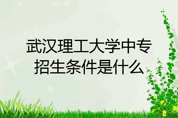 武汉理工大学中专招生条件是什么