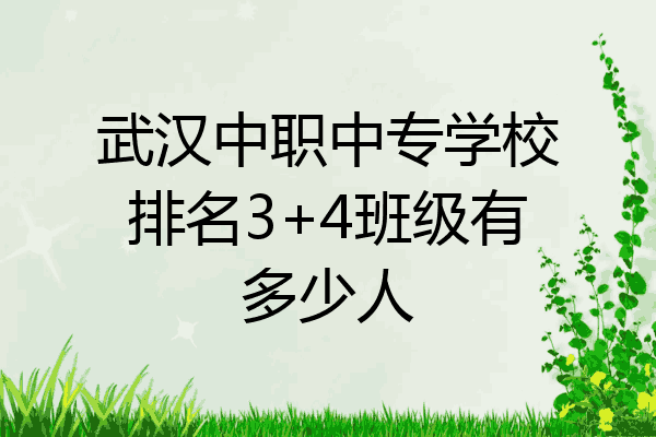 武汉中职中专学校排名3+4班级有多少人