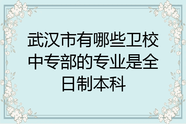 武汉市有哪些卫校中专部的专业是全日制本科