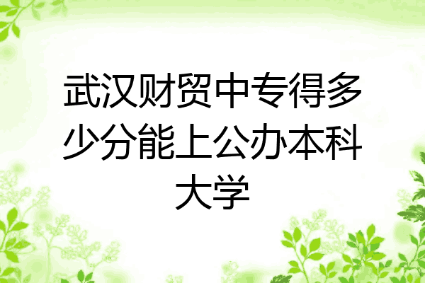 武汉财贸中专得多少分能上公办本科大学