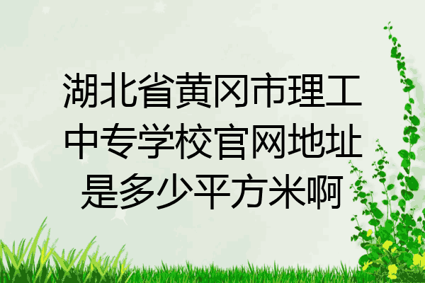 湖北省黄冈市理工中专学校官网地址是多少平方米啊