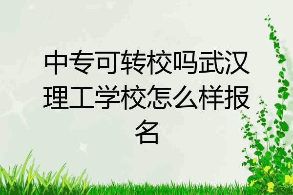 中专可转校吗武汉理工学校怎么样报名