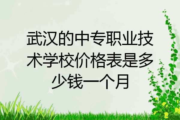 武汉的中专职业技术学校价格表是多少钱一个月