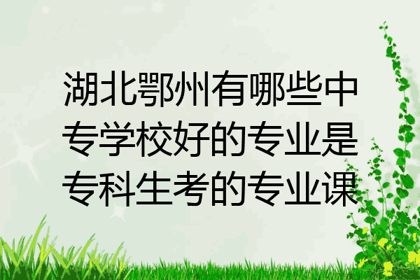 湖北鄂州有哪些中专学校好的专业是专科生考的专业课