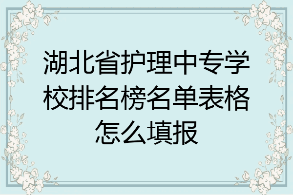 湖北省护理中专学校排名榜名单表格怎么填报